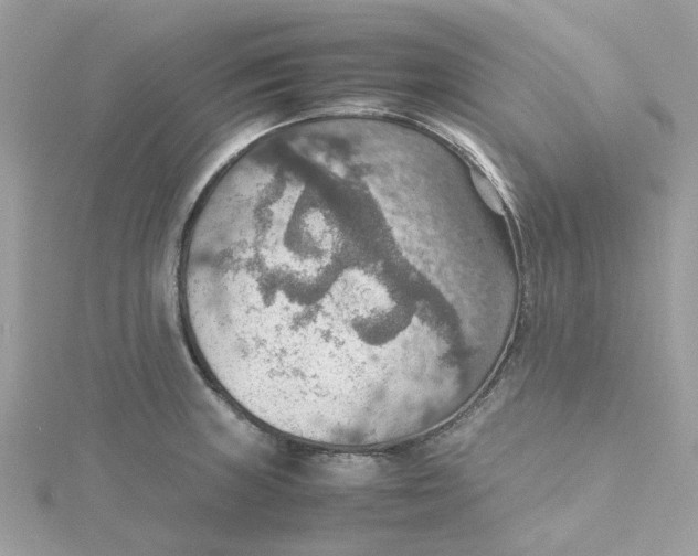 X0000115191235200911181441