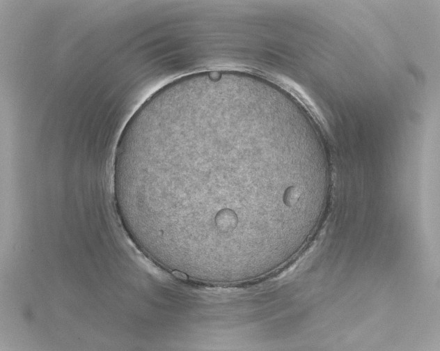 X0000115191236200911181441