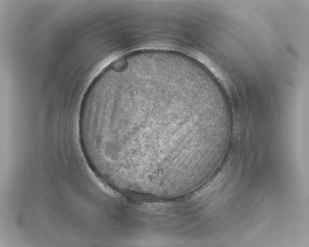 X0000115191237200911181441