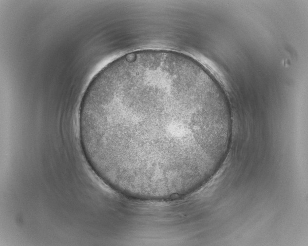 X0000115191238200911181441