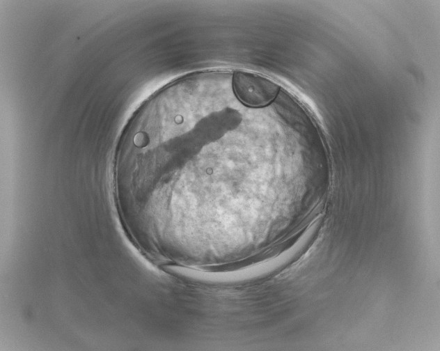 X0000115191239200911181441