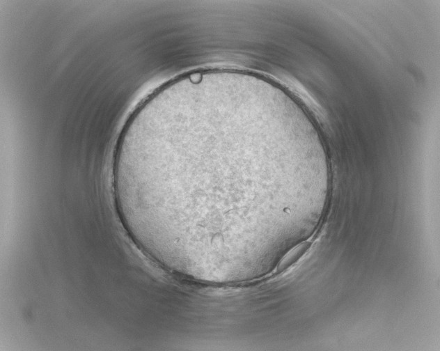 X0000115191240200911181441