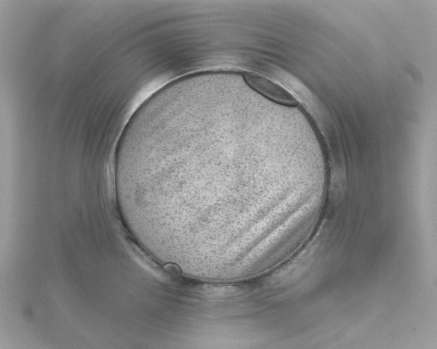 X0000115191242200911181441