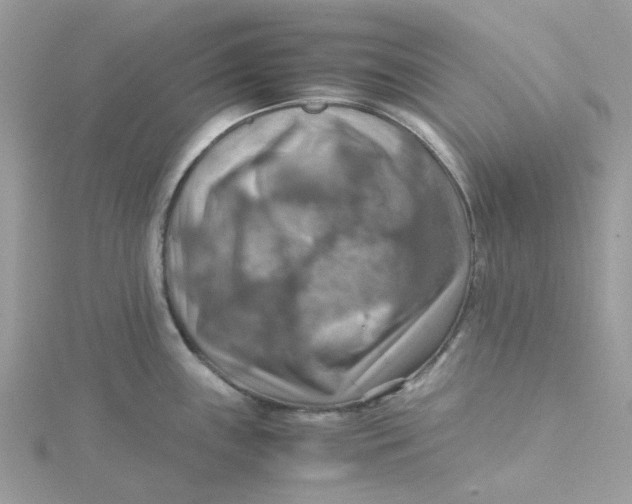 X0000115191243200911181441