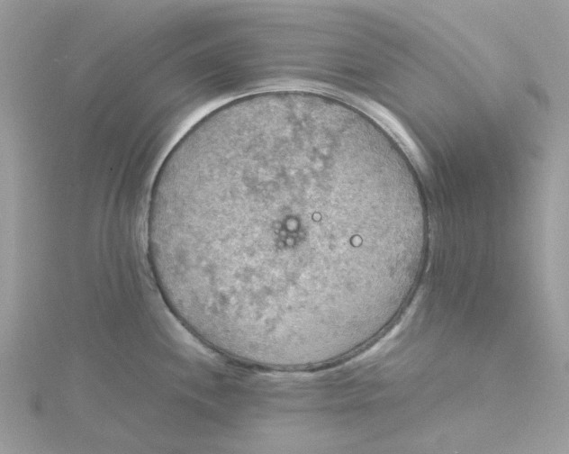 X0000115191244200911181441