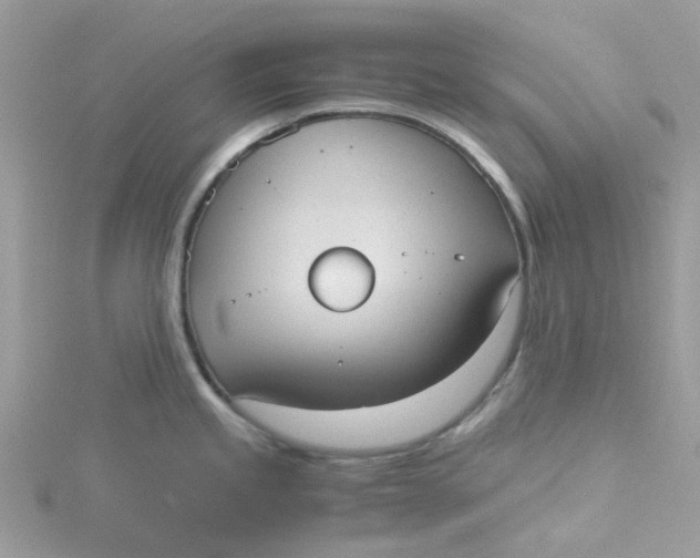 X0000115191245200911181441