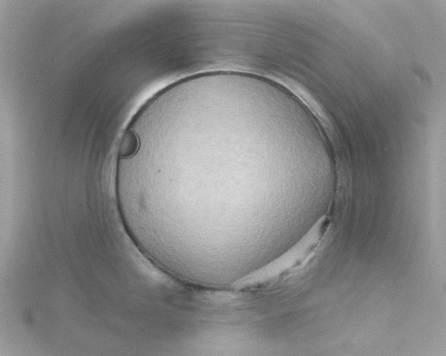 X0000115191246200911181441