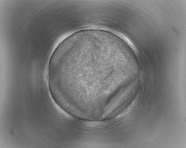 X0000115191247200911181441