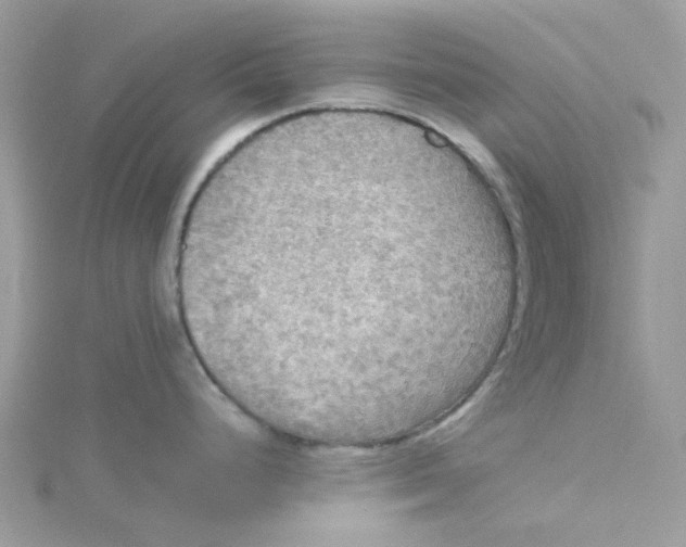 X0000115191248200911181441