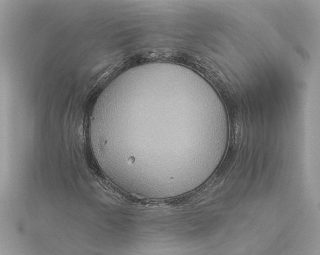 X0000115191250200911181441