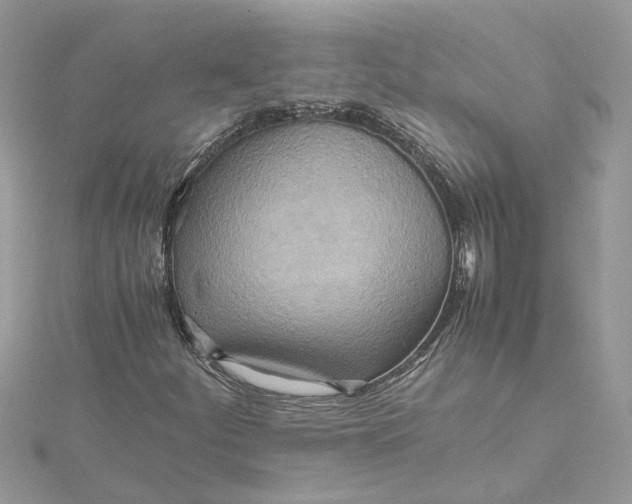 X0000115191252200911181441