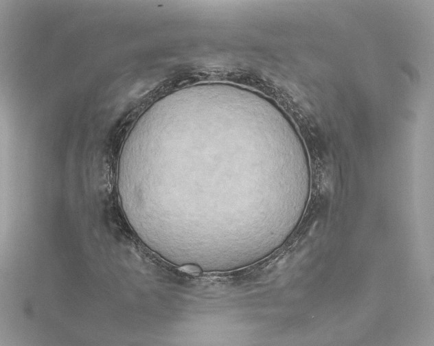 X0000115191253200911181441