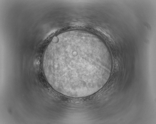 X0000115191254200911181441