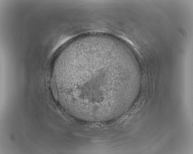 X0000115191255200911181441