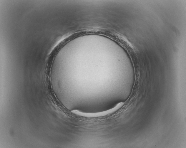 X0000115191256200911181441