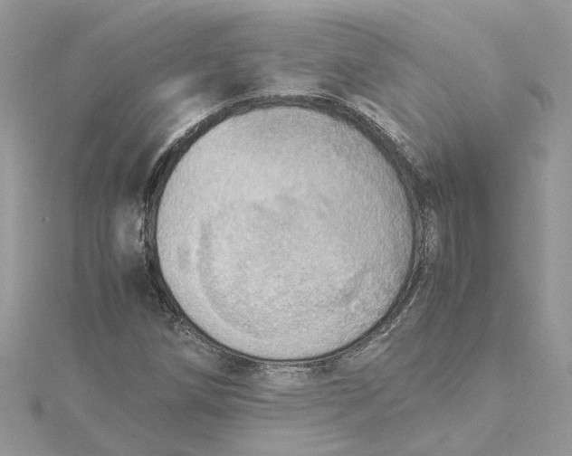 X0000115191258200911181441