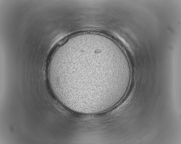 X0000115191259200911181441