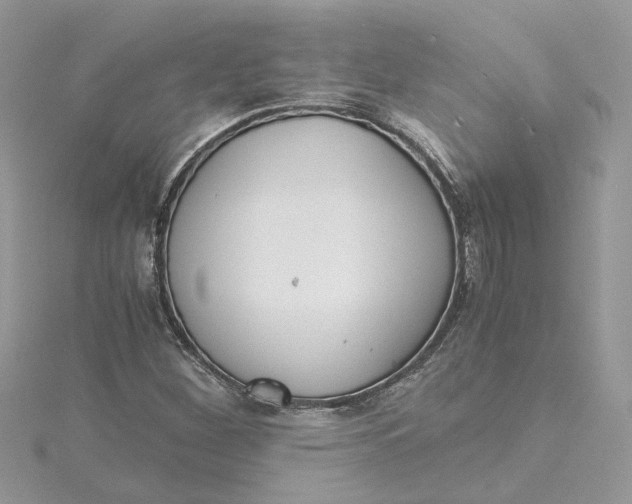 X0000115191260200911181441