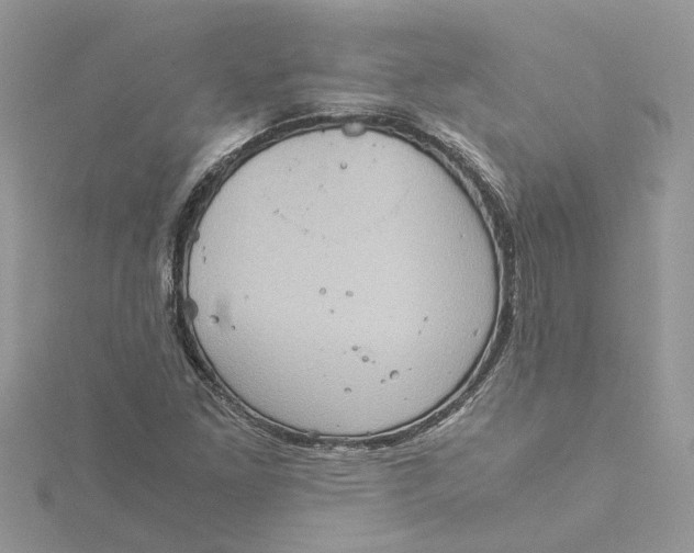 X0000115191261200911181441