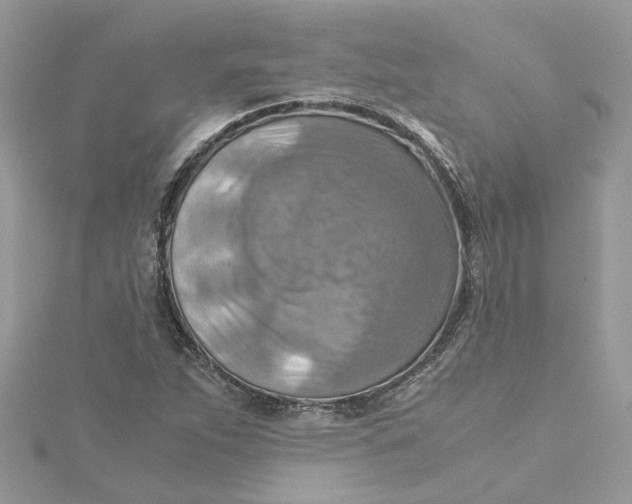 X0000115191263200911181441