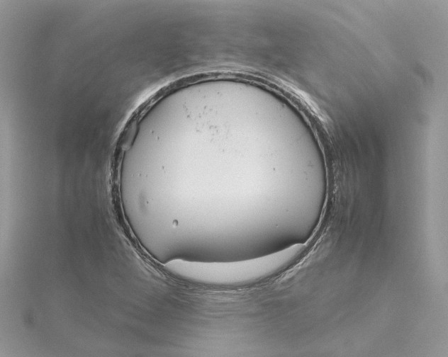 X0000115191264200911181441