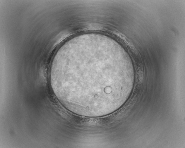 X0000115191266200911181441