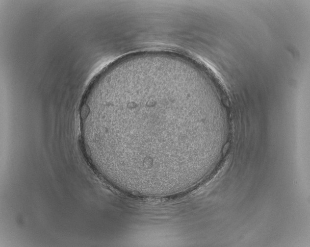 X0000115191267200911181441