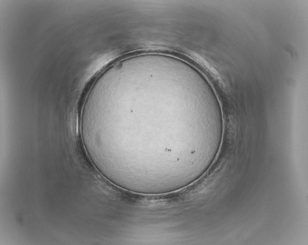 X0000115191269200911181441