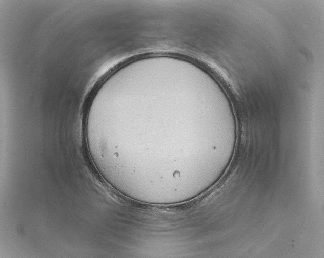 X0000115191270200911181441