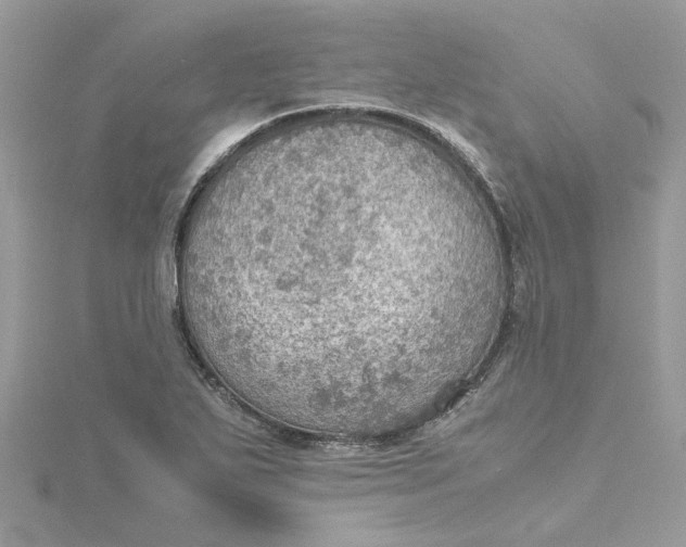 X0000115191271200911181441