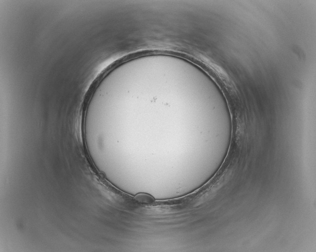 X0000115191272200911181441