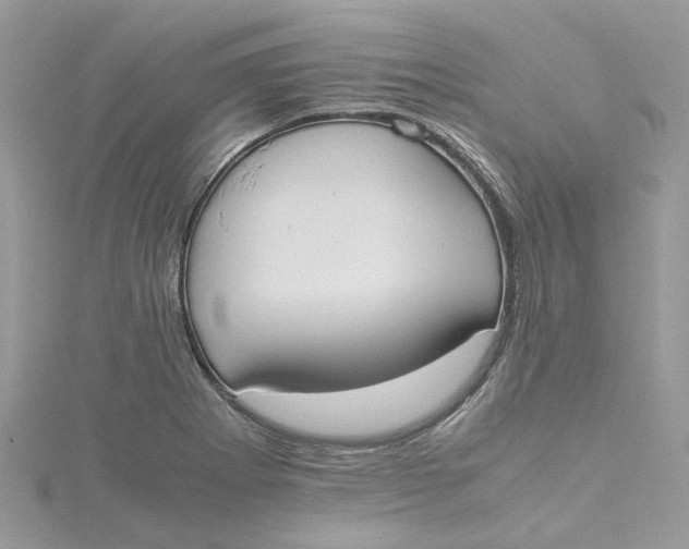 X0000115191273200911181441