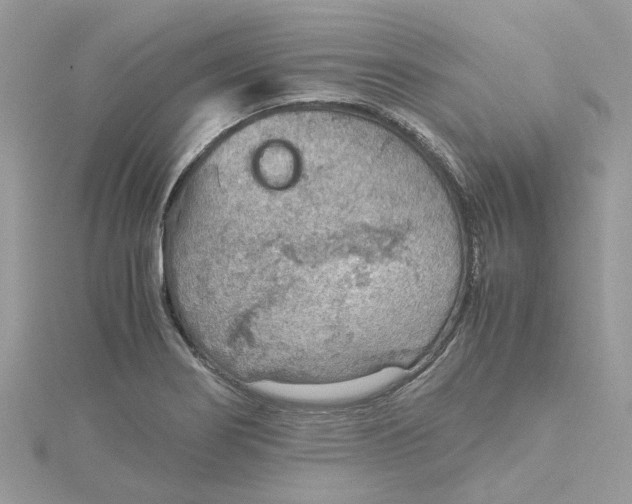 X0000115191274200911181441