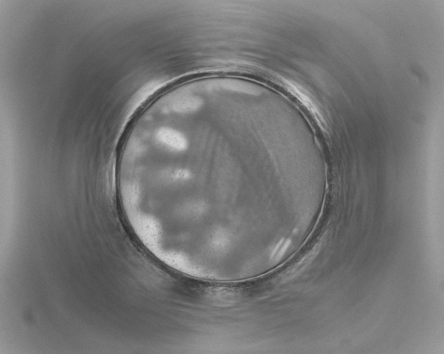 X0000115191275200911181441