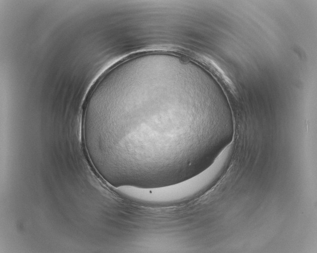 X0000115191276200911181440