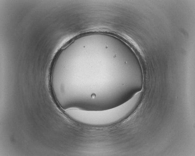 X0000115191277200911181440