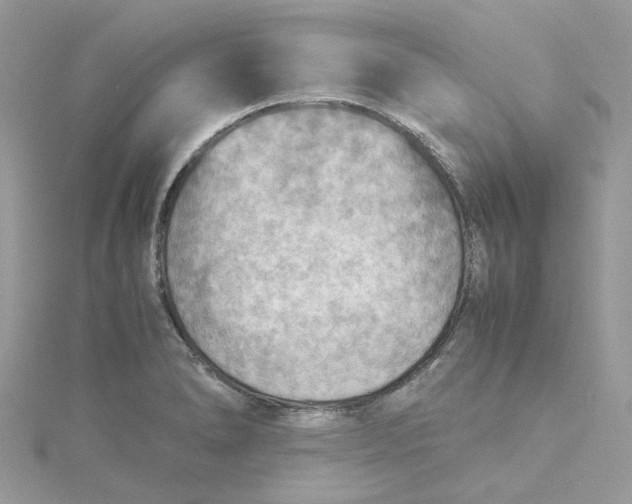 X0000115191278200911181440