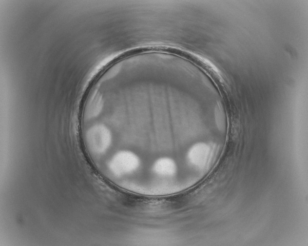 X0000115191279200911181440