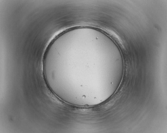 X0000115191280200911181440