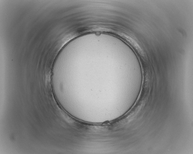 X0000115191281200911181440