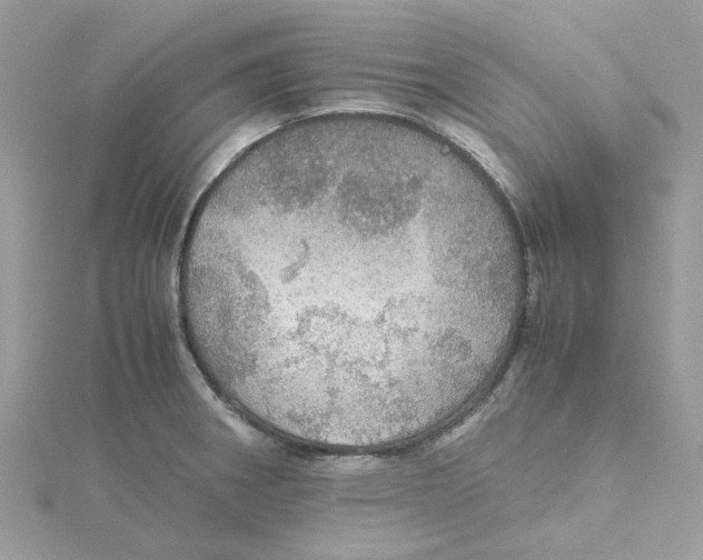 X0000115191282200911181440