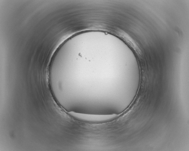 X0000115191284200911181440