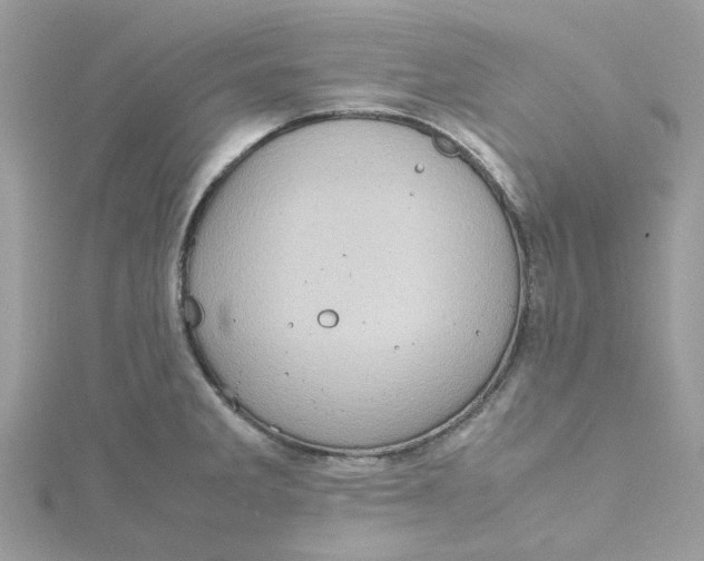 X0000115191285200911181440