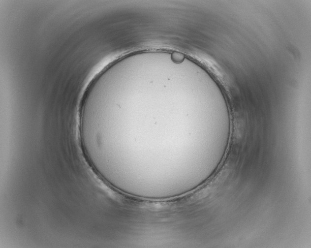 X0000115191286200911181440