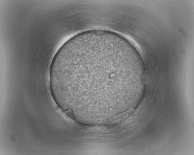 X0000115191287200911181440