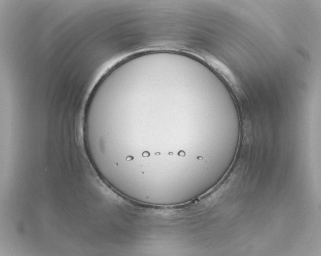 X0000115191288200911181440