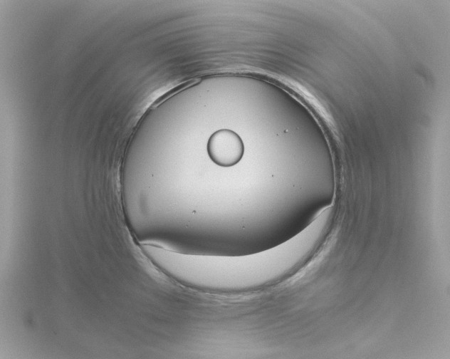 X0000115191289200911181440