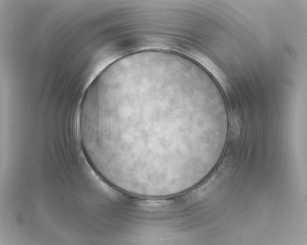 X0000115191290200911181440