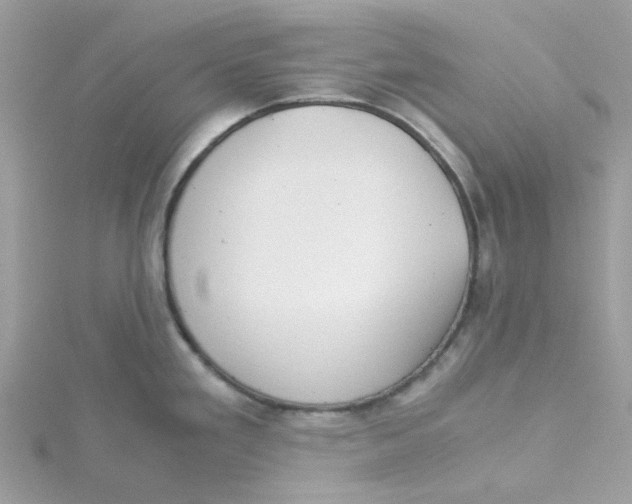 X0000115191293200911181440