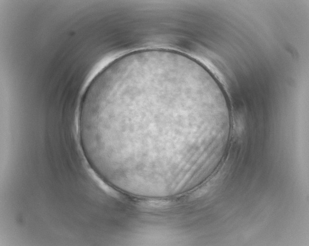 X0000115191294200911181440